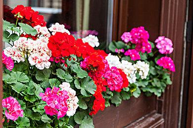 《疯狂兔子：奇遇派对》国行版一周年 史低折扣现已推出